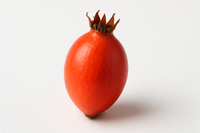 Rosehip